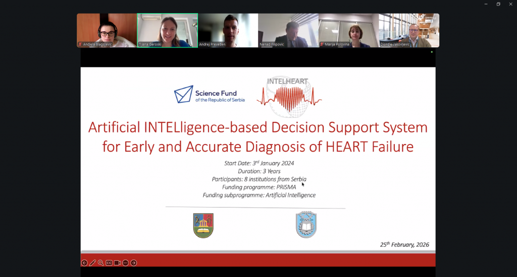 INTELHEART online project meeting